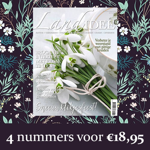 LandIdee magazine + Gratis Cadeau