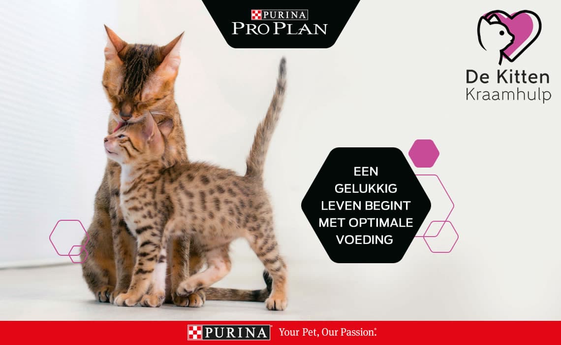 Gratis Proefpakket! Lust jouw kat Purina ONE?