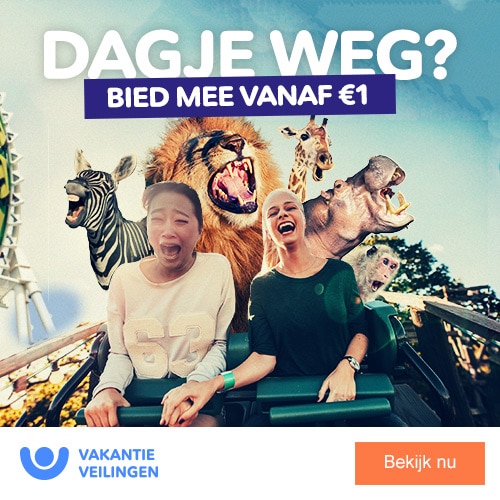 Vakantieveilingen voor de goedkoopste Deal