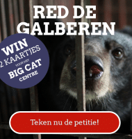 Red de Galberen en 2 kaartjes voor Felida Big Cat Centre
