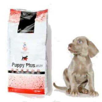 Gratis proefpakket met hondenvoeding!
