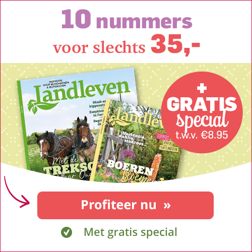 kousen Snor Binnen Landleven tijdschrift met Gratis special t.w.v. € 8.95