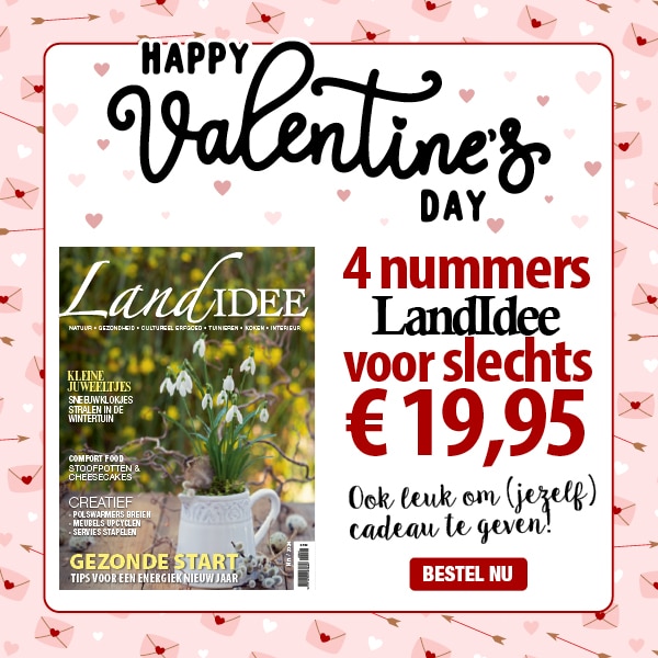 LandIdee magazine 4 nummers € 19.95 dat is 53% korting