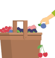 Fruitplukdagen