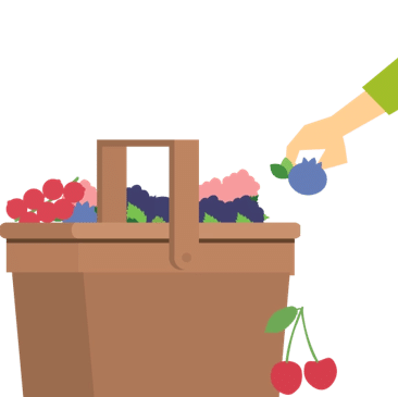 Gratis Fruitplukken op de Fruitplukdagen 2026