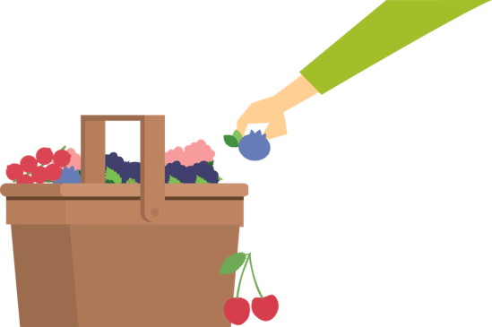 Gratis Fruitplukken op de Fruitplukdagen 2026