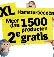 AH Hamsteren
