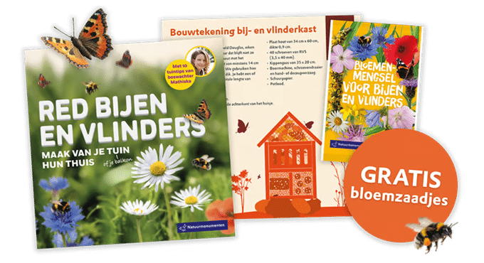 Gratis bijen- en vlinderpakket inclusief bloemzaadjes