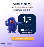 hollandsnieuwe